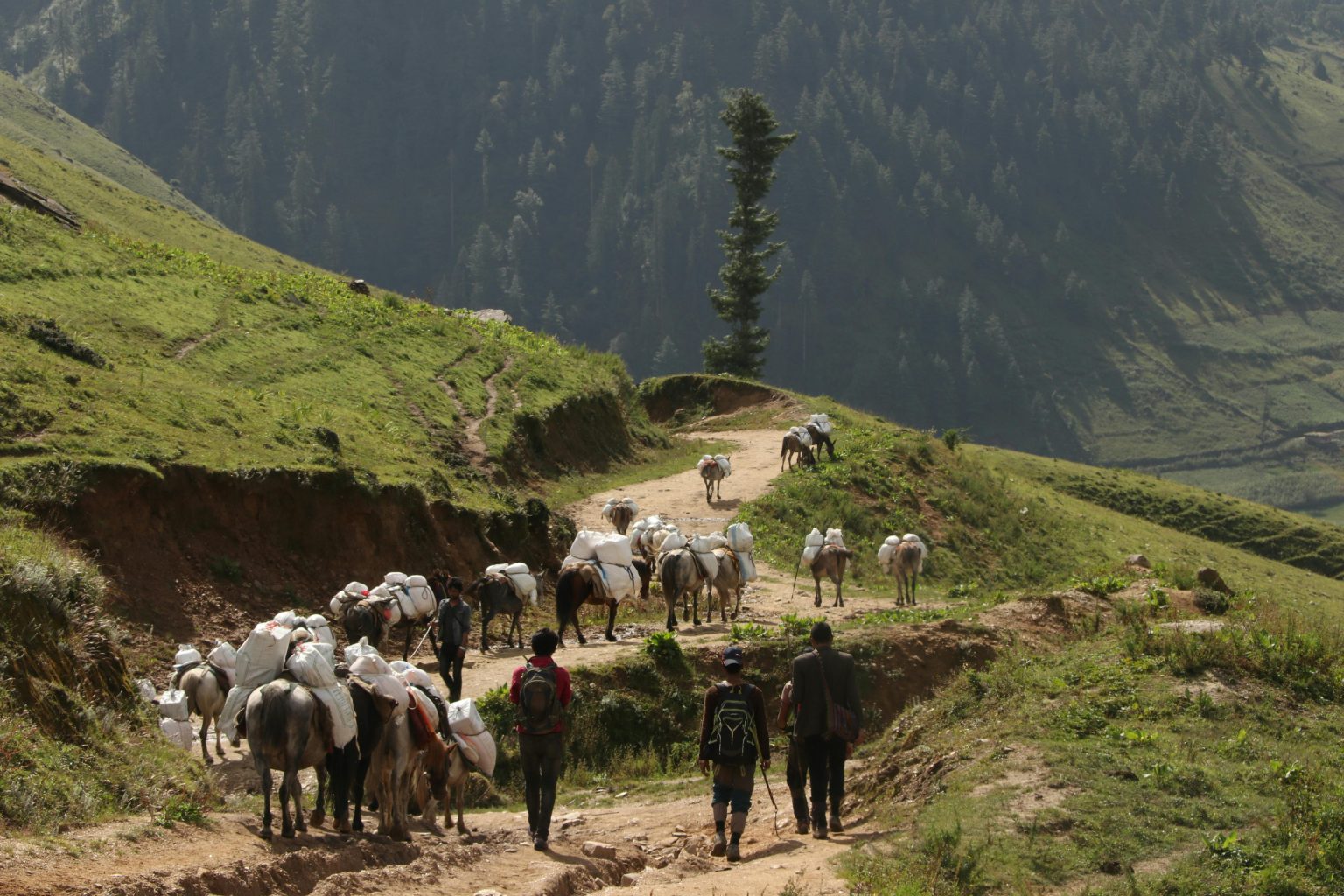 Severe Floods and Landslides Ravage Karnali Province, Nepal, Displacing Thousands