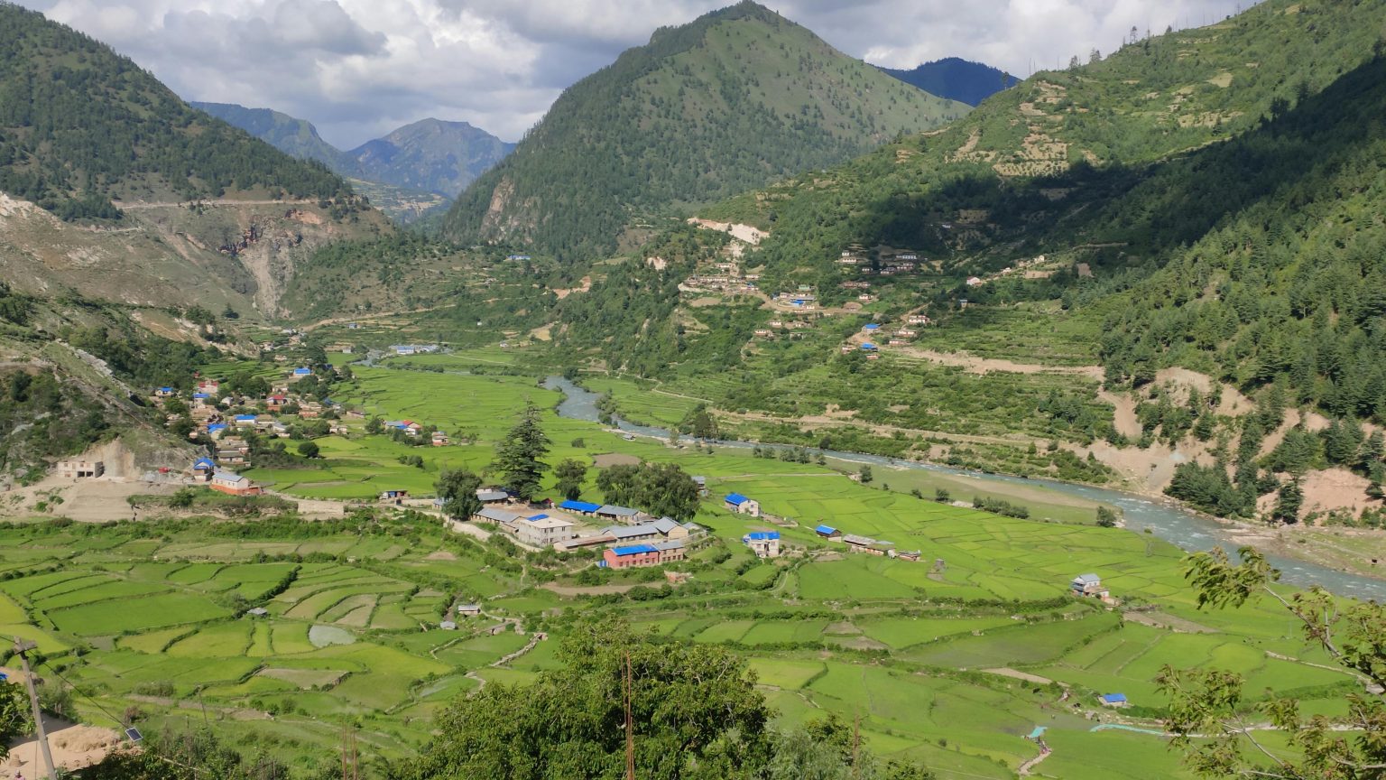 मार्सी धानमा ‘ब्युटाक्लोर’ हाले गाउँपालिकाले सेवा रोक्ने