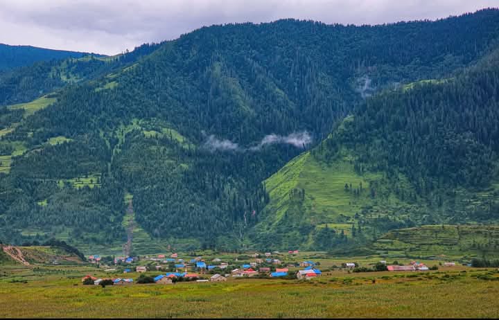 जुम्लाको पातारासीका महिलाहरू अझै पनि घरमै सुत्केरी हुने परम्परामा। जुम्लाको पातरासी गाउँपालिकामा यार्से गुम्बा टिप्न जाने मानिसको भिड बढ्यो।