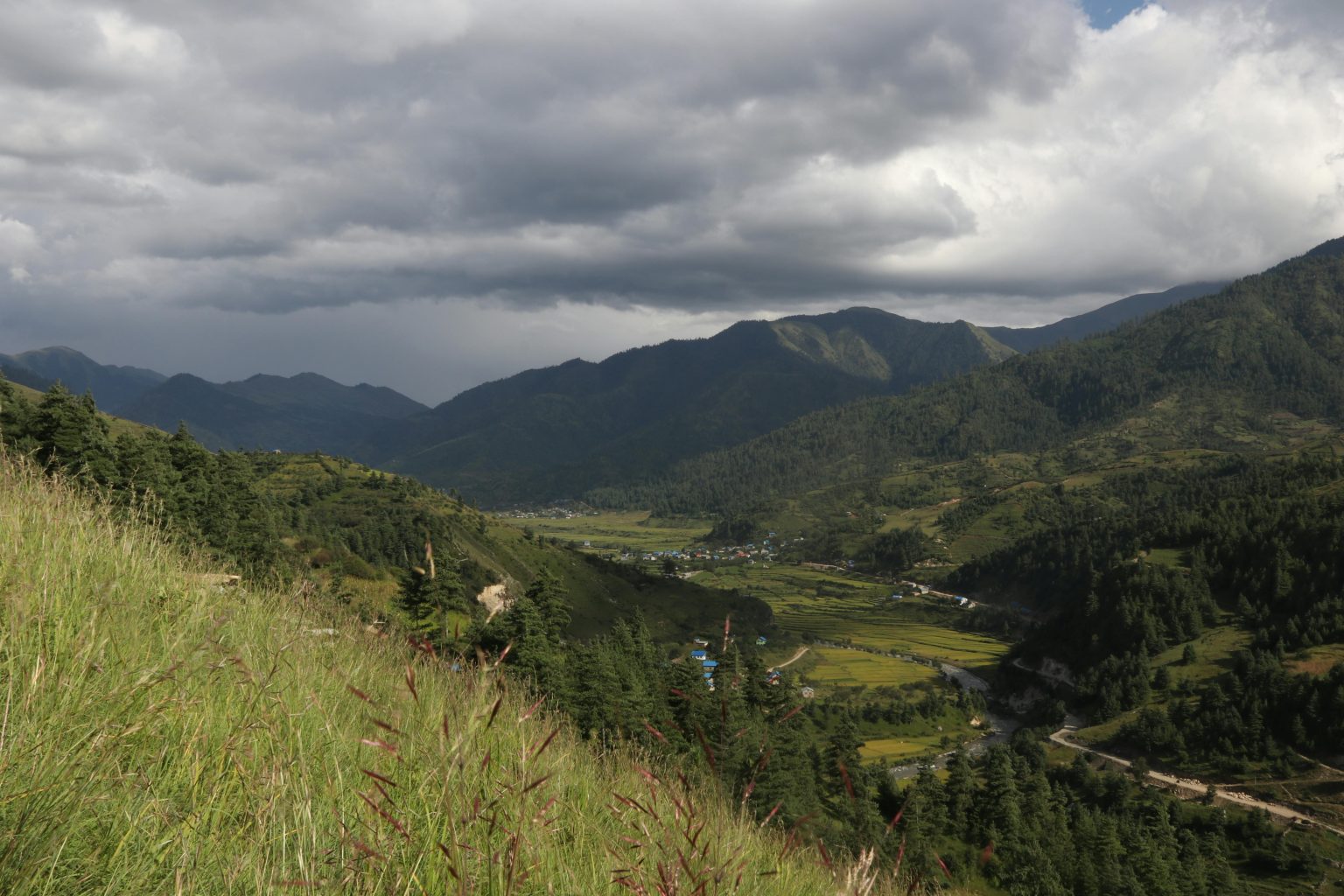साथी भाइ क्रमश बिदेसिँदा, बलबहादुरले रोजे भेडीगोठ।साथी भाइ क्रमश बिदेसिँदा, बलबहादुरले रोजे भेडीगोठ।